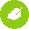 Green & White Fall Leaf Icon